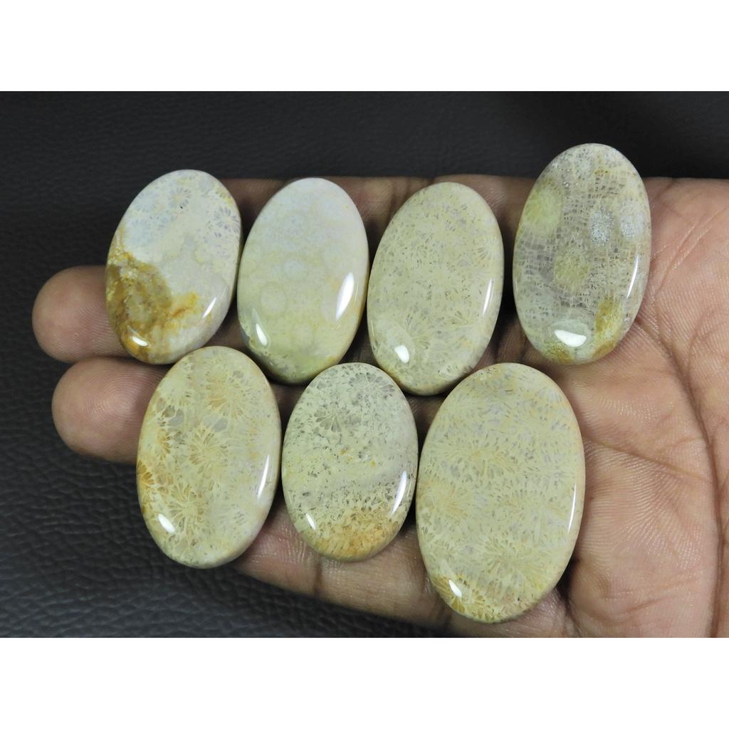 07Pcs Natural Fossil Coral Oval Cabochon Loose Gemstone Lot 288Cts. A-739