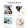 Washable Male Dog Diaper Pants & Anti-Harassment Belt