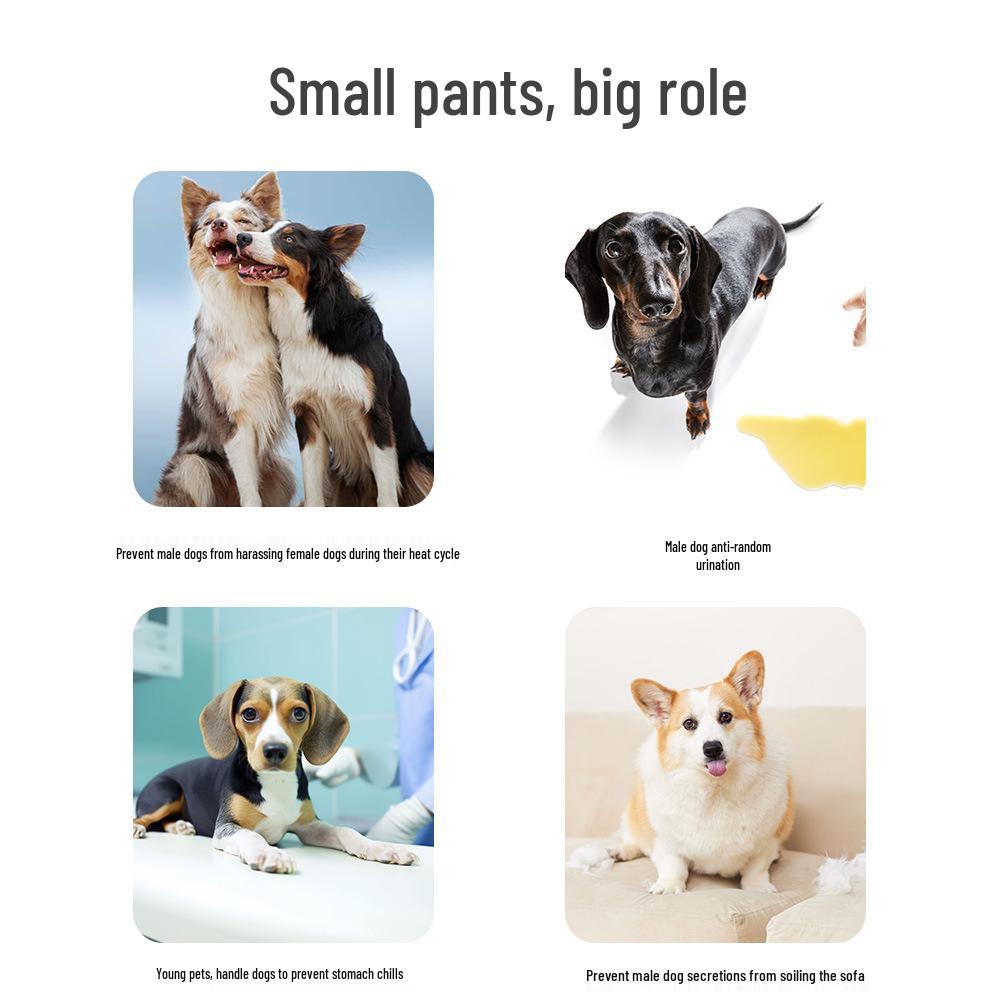 Washable Male Dog Diaper Pants & Anti-Harassment Belt