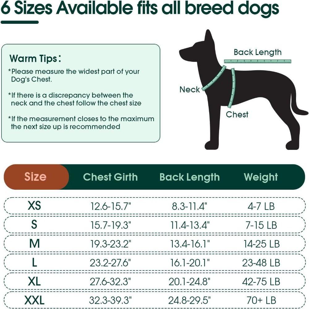 Abdominal Wounds Bandages Dog Recovery Suit Washable Dog Onesies Pet Recovery Shirt  Spay Neuter