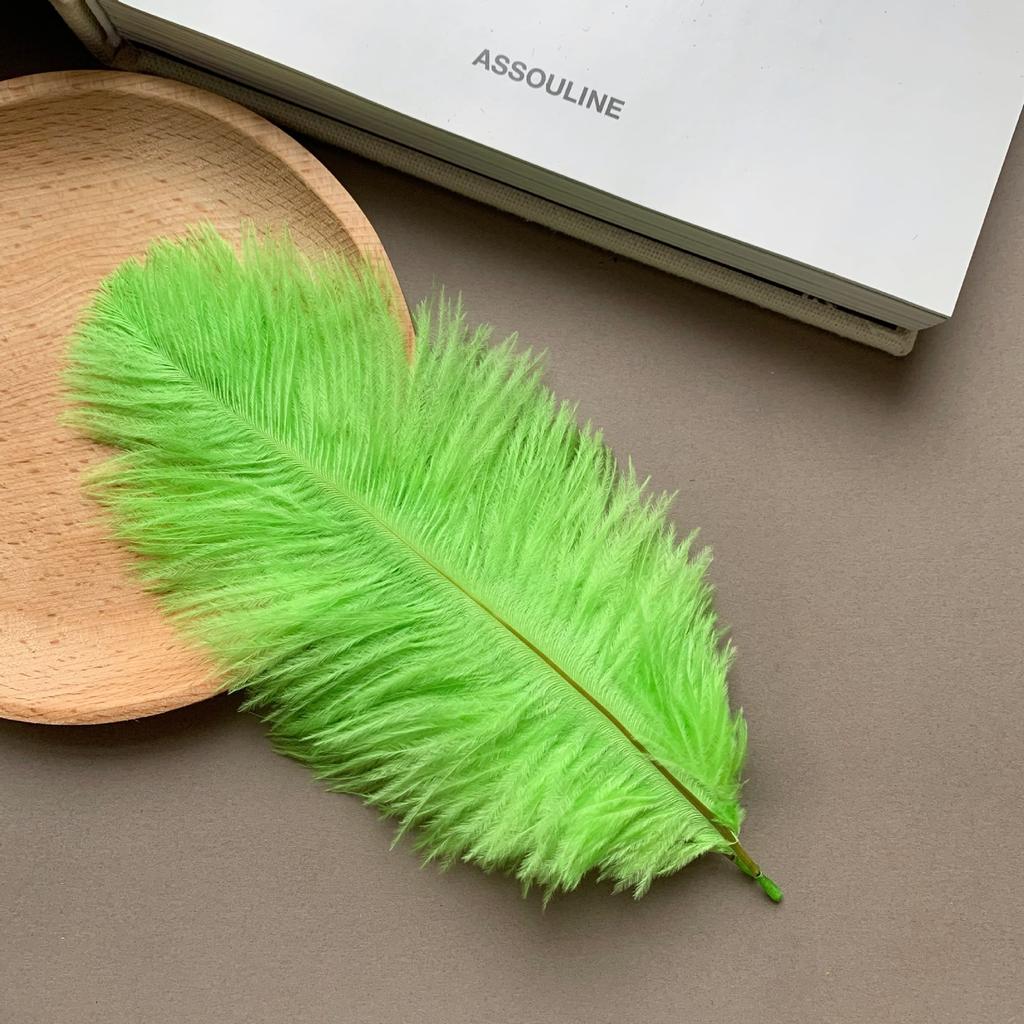 Color ostrich hair 15-20CM ostrich feather Internet celebrity photo background wall feather cake flower arrangement DIY decoration