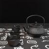 Hwagui Iron Teapot, Iron Supplement, Induction Compatible, Small Size, Nanbu Iron Teapot, 0.3L