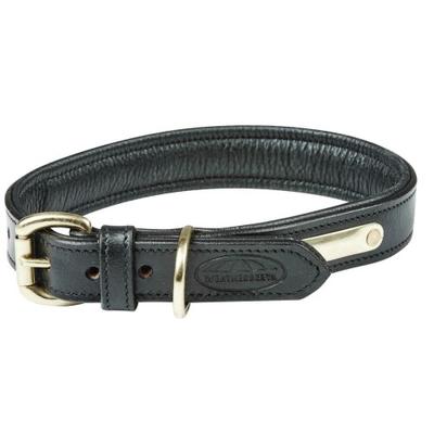 Gepolstertes Hundehalsband aus Leder