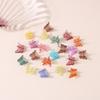 Butterfly Mini Frosted Hair Clips for Braiding and Bangs