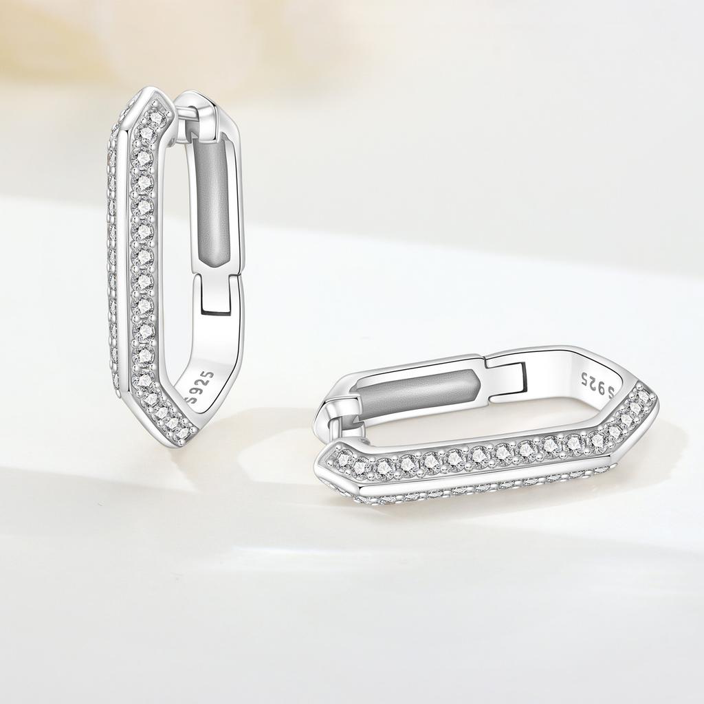 Orstarry S925 Silver Earring Versatile and Unique Earring Jewelry For Women Birthday Gifts