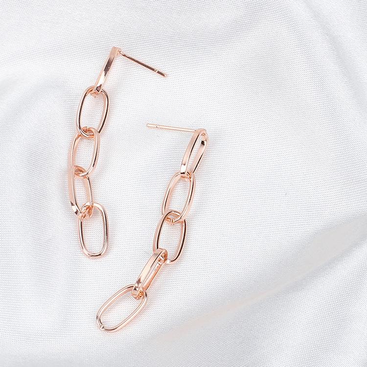 Oval Chain Earrings, Simple Retro Exaggerated Earrings, Popular Exaggerated Earrings In Europe and the United States