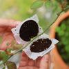 Propagation Ball Botany Root Controller Plastic Breeding Case High Pressure Incubator Growing Box Plant Rooting Equipment