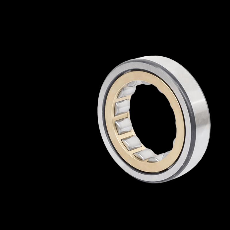 ZWZ Cylindrical Roller Bearing NJ2312EM/C4