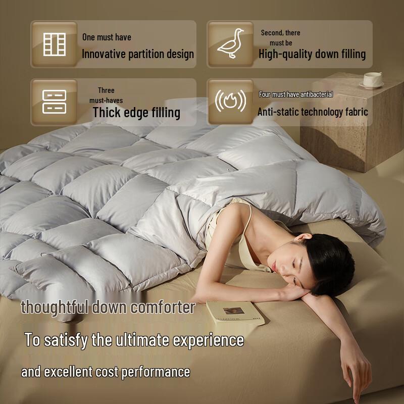 JDZ Premium Down Winter Comforter