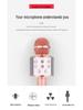 WS858 Bluetooth Karaoke Microphone for Children - Wireless Singing Mic with Speaker and Condenser features