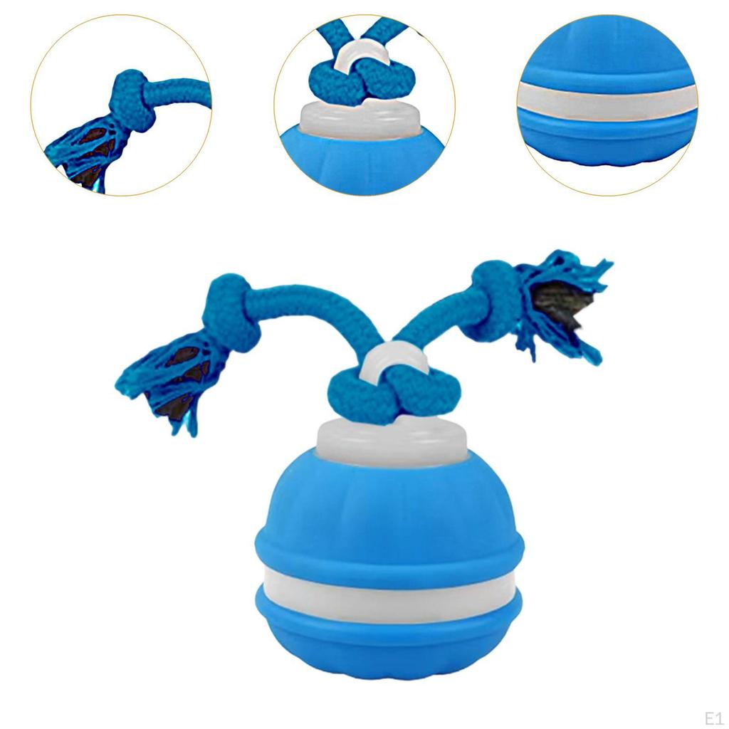 Cat Dog Interactive Toy Ball with Rope Bite Resistant Chewing for Indoor Outdoor Travel Lawn