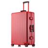 Li Shen Vintage Hardshell Spinner Luggage