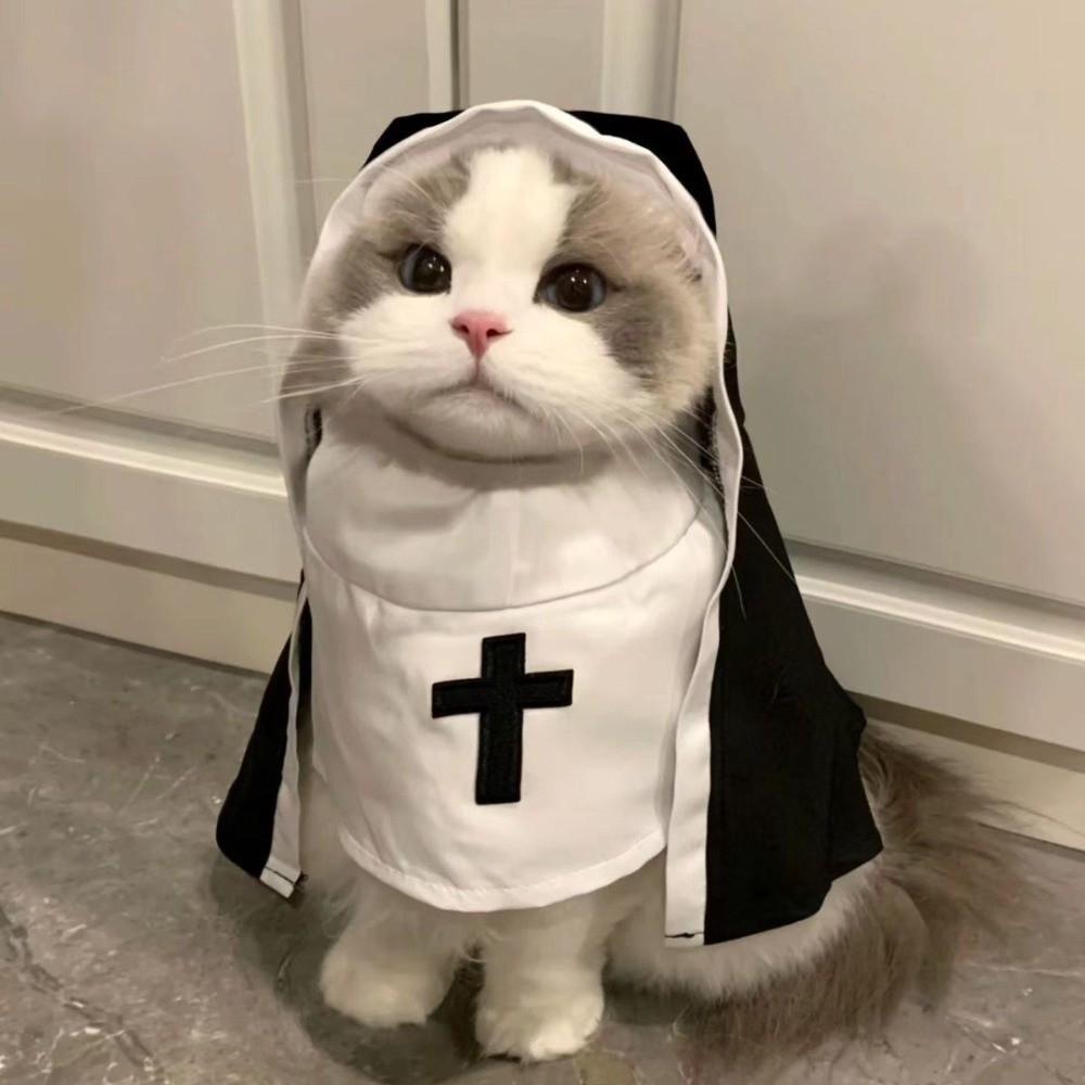 Christmas Pet Dog Cat Cosplay Costume Dress Up Pet Accessories Puppy Kitten Jesus Nun Clothes Breathable Halloween Jumpsuit Coat