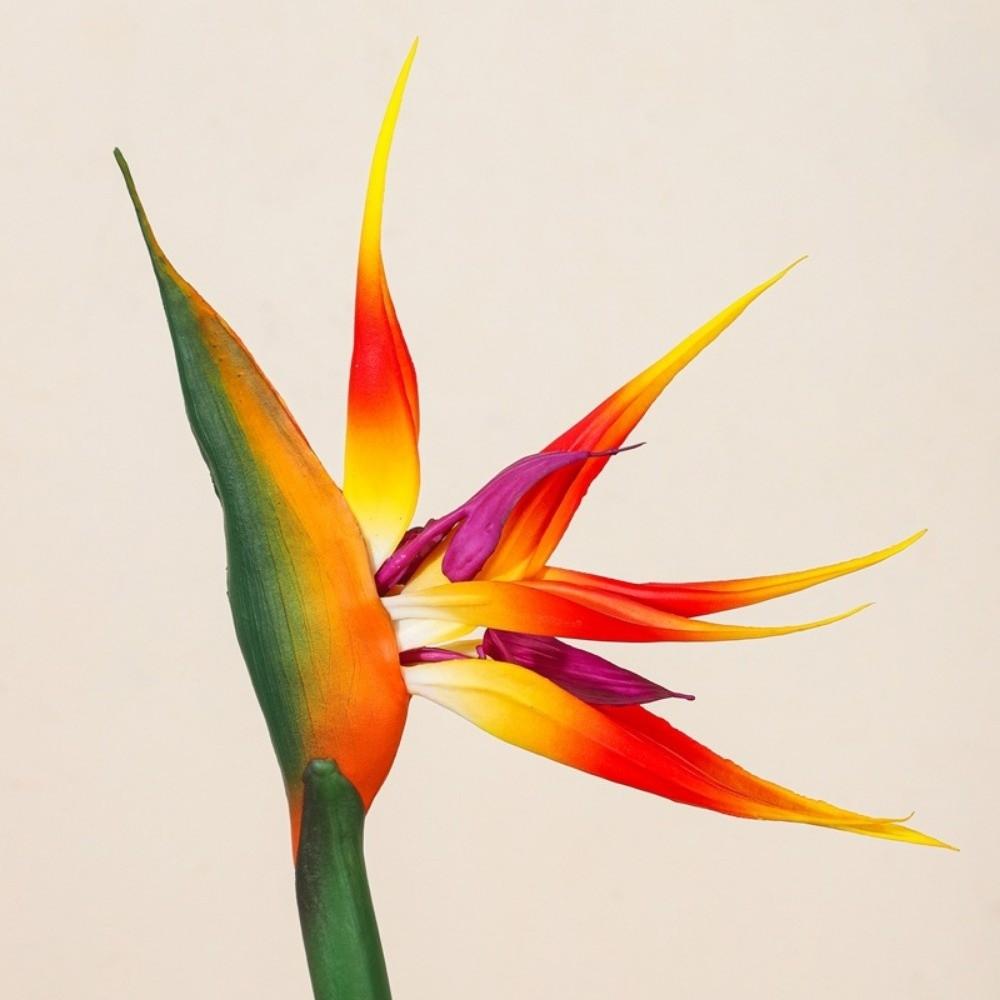 Long Stem Artificial Strelitzia Flowers Authentic Touch Faux Plants Living Room Ornaments