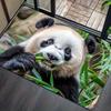 1PC Panda Kitchen Rugs Non-Slip Home Door Mats Pop Design Bathroom Rugs Bath Mat Carpet for Home Sink Laundry Decor