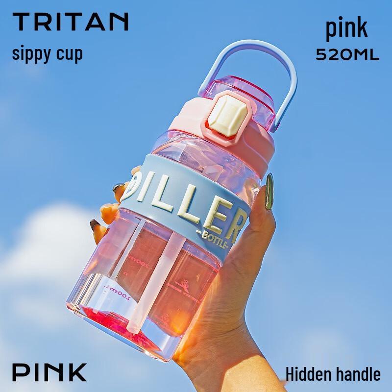 Diller D2401 Insulated Straw Water Bottle