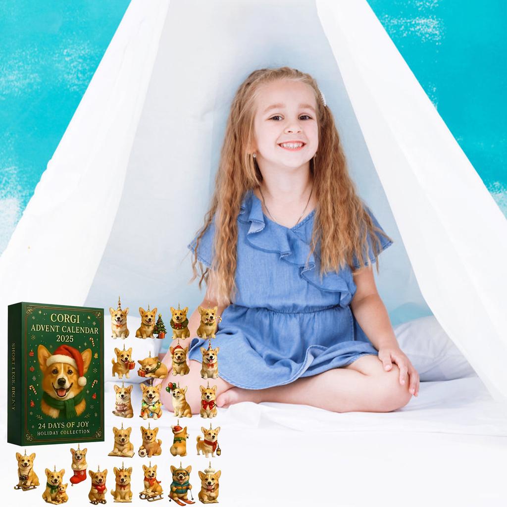 2D Flat Acrylic Mystery Box 24pcs Pendant With Airplane Box Funny Christmas Countdown Calendar