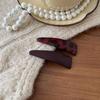 2025 High-End Women's Leopard Print Triangle Hair Clip - Stylish Bangs BB Clip Hairpin Accessory.