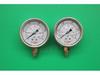 Seismic Anti-Vibration Stainless Steel Hydraulic Oil Pressure Gauge Y60 (0-1.0/1.5Mpa)