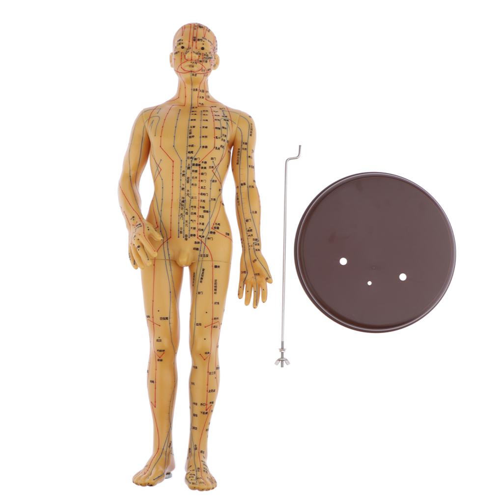 Figure, Male / Full Body
