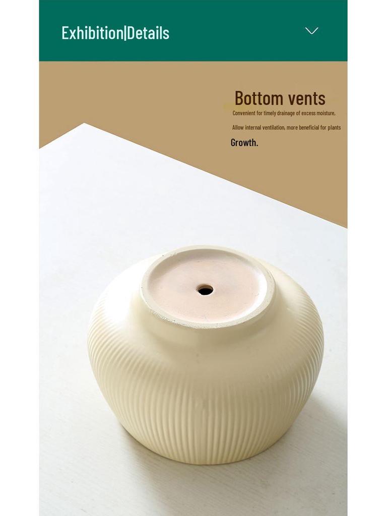 Ceramic Flower Pot with Tray for Orchids and Succulents