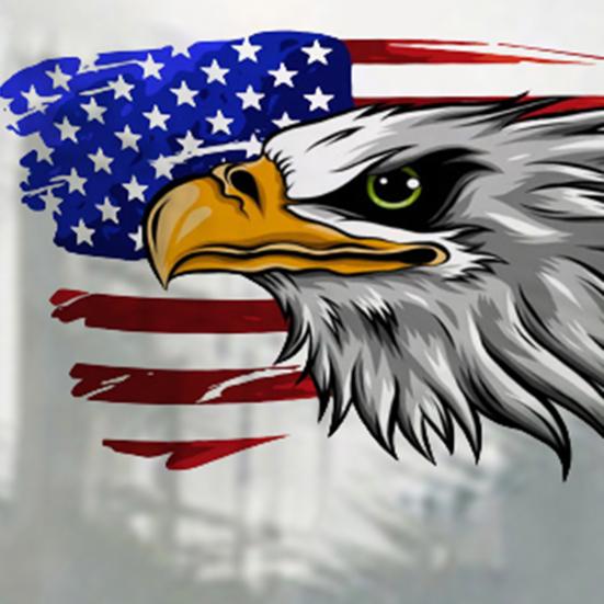 Car Decor Sticker Eye-catching Good Visual Effect Removable American Eagle Vinyl