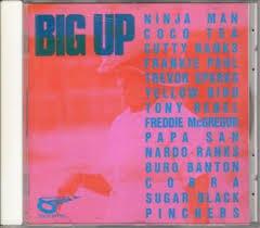 

CD VARIOUS - Big Up TECX25170 24x7 Records 1992 Japan Reggae, Ska & Dub Used