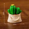 Landscape Creative Micro Cactus Decorations Toy Accessories Ornaments Desktop