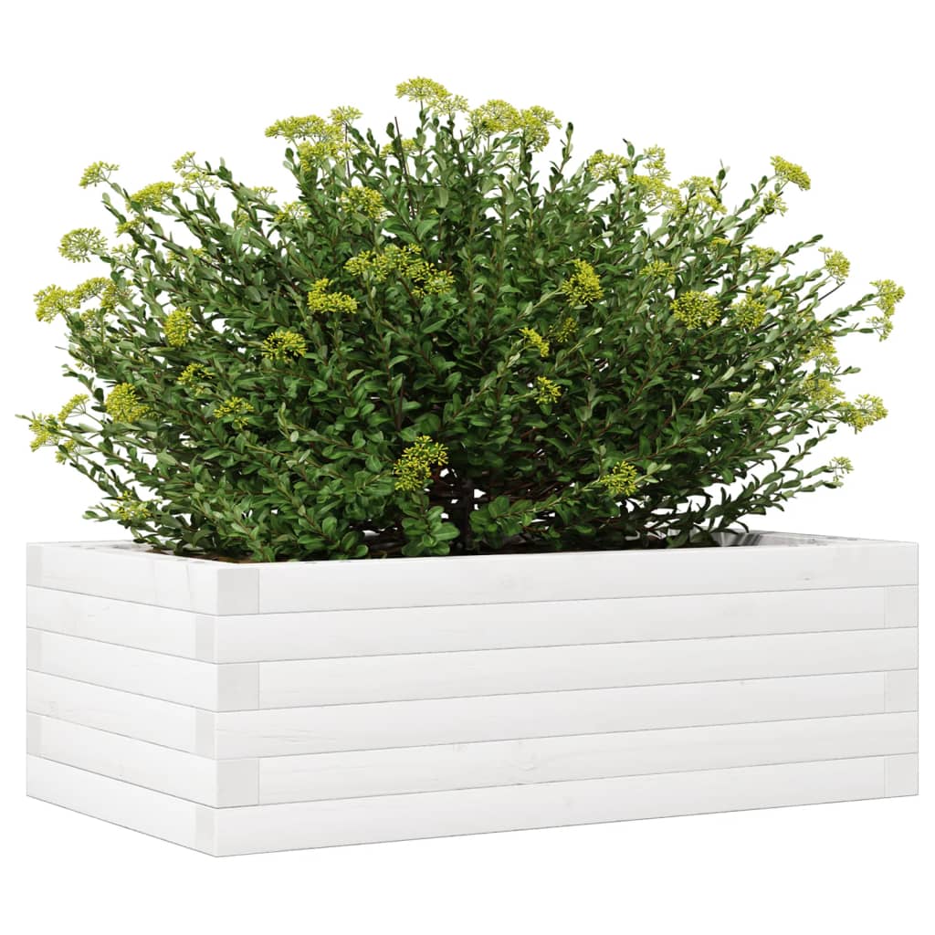 Plant Pot White 70x40x23 Cm Solid Pine Wood
