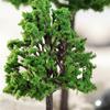 Scenery Model Trees Street Railway Railroad Diorama Landscape Miniature
