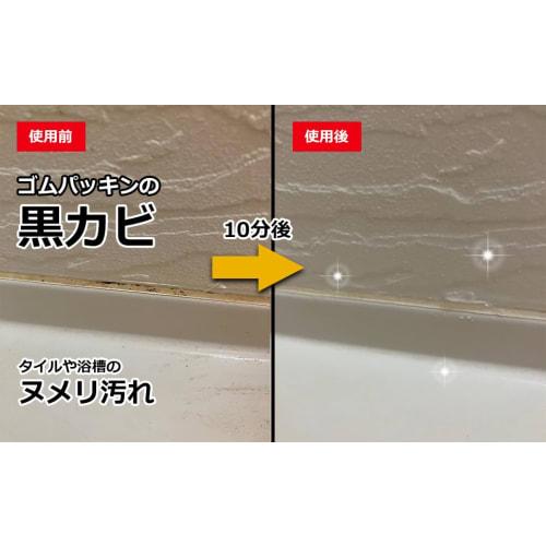 Souma PALCCOAT Mold Buster PRO 300ml, a Powerful, Highly Concentrated Foam Mold Remover for Professional Use (bathroom, Rubber Seals, Wallpaper)