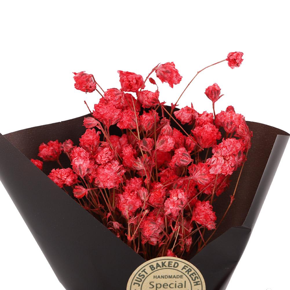 Natural Dried Flower Mini Bouquet Flowers Wedding Decoration Photo Props (Red)