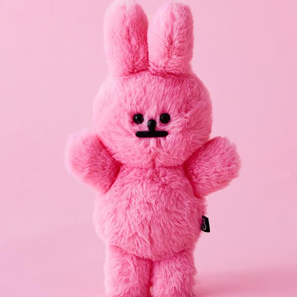 Член Line Friends