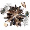 40/48Pcs 6 Styles Natural Feathers Bulk Long Pheasant Plumage Beautifully Mixed Feathers  DIY Crafts