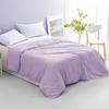 Luolai Provence Tussah Silk Summer Quilt