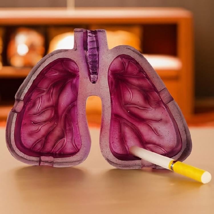 Decorative Ashtray with Distinctive Human Lungs Shape Enhances Your Environment
