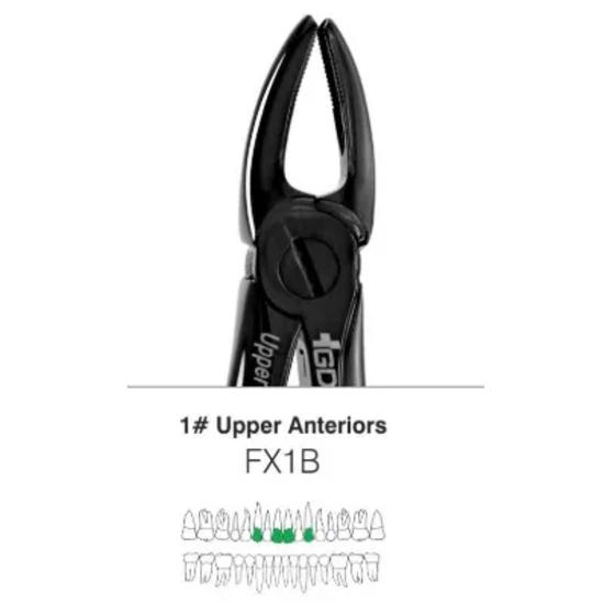GDC Plasma Black Extraction Forcep Upper Anterior #1 FX1B