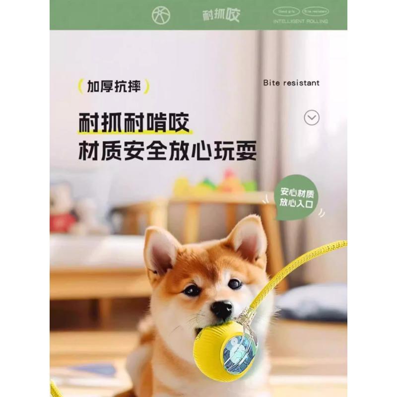 Automatic Smart Electric Bouncing Ball Bite Resistant Interactive Pet Toy For Dogs