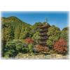 Large Bath Poster of the Rurikoji Temple Five-Story Pagoda, Made of Magnetic Sheet [Magnet Park], Large Size, 57cm X 80cm