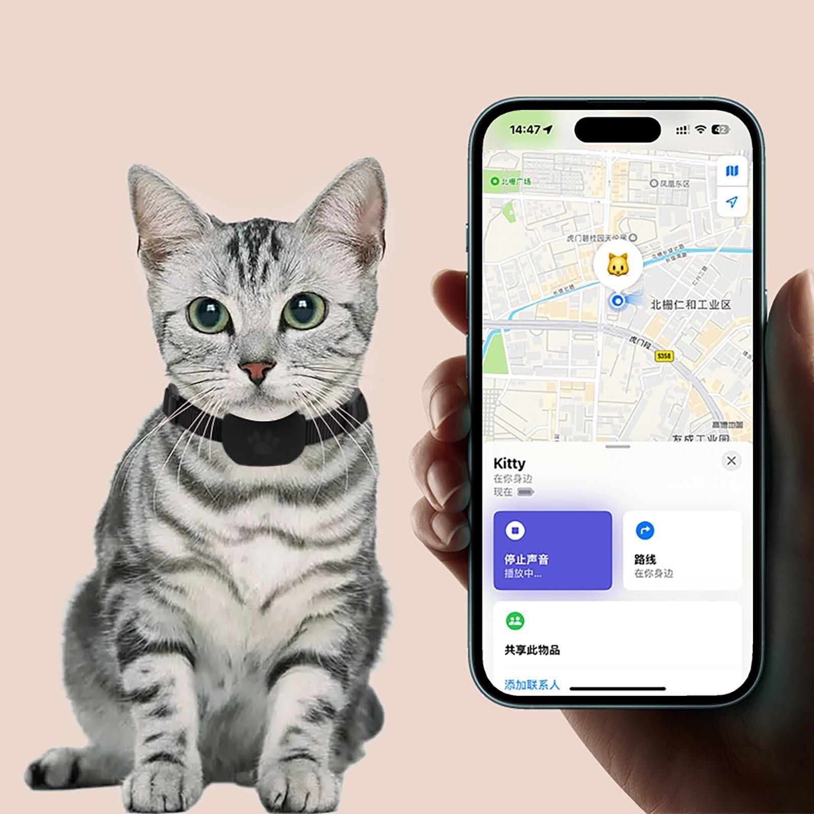 

Ошейник для позиционирования питомца Кошка и щенок - потерянный One Size