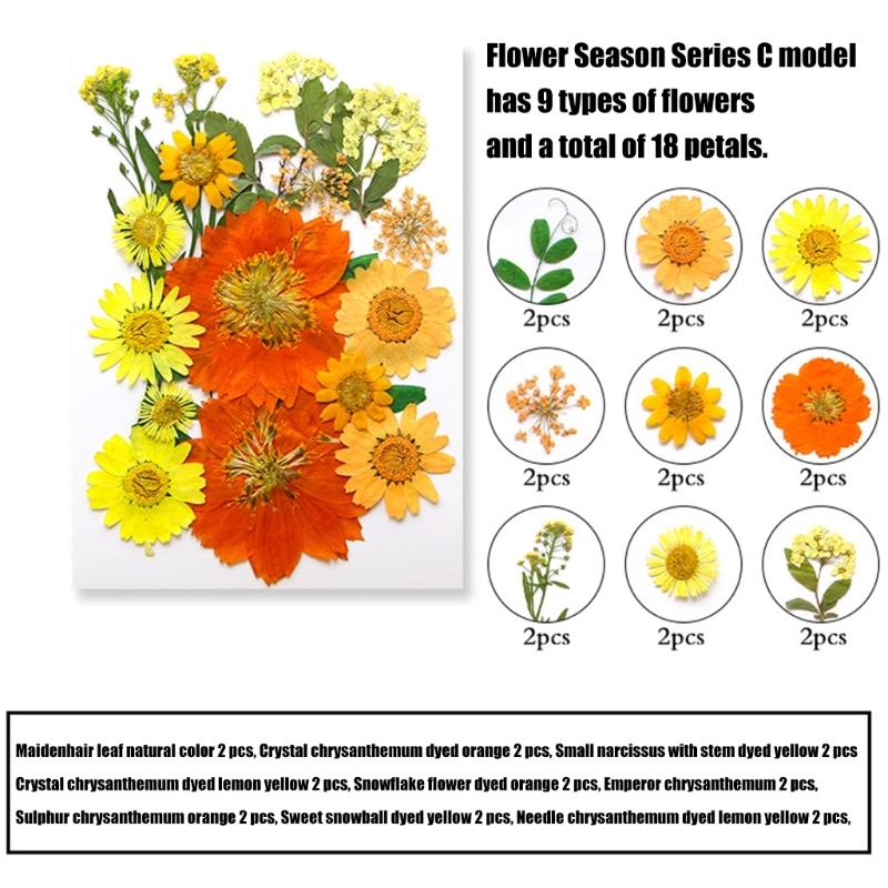 205Pcs Pressed Dried Flower For Resin Natural Dry Flower Leaf with Tweezers Sticker for Art Craft Candle Jewelry Making