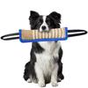 Köpek – Eğitim ve Öğretim Araçları