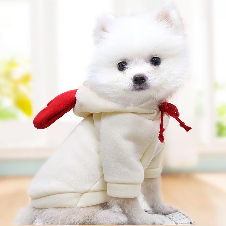 Defective Spring and Autumn Pet Clothes Pomeranian Corgi Cat Dog Red Heart Hooded Sweater
