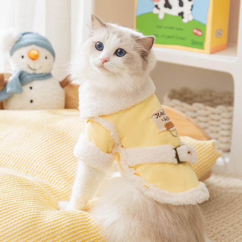 Cat clothes Autumn and winter Ragdoll cat warm two-legged cotton-padded clothes pet dog dog kitten cat kitten anti-hair loss clothing