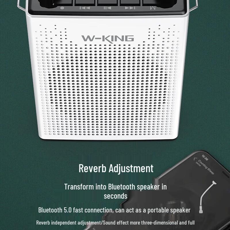 W-King KS06 Portable Wireless Voice Amplifier with Headset Mic CN Plug (adapter Included)
