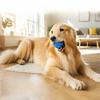 Smart Interactive Dog Ball Multi‑mode Irregular Rolling Electric Toy Bite‑resistant Relieve Boredom for Dogs