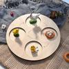 for Frog Animal Life Cycle Model Desktop Decoration Educational Development Toys Realistic Appearance Stimulate Interest