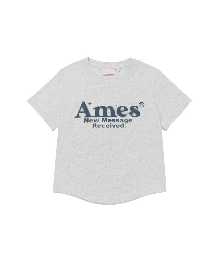 AMES-WORLDWIDE Round Hem Crop Tee Light Gray