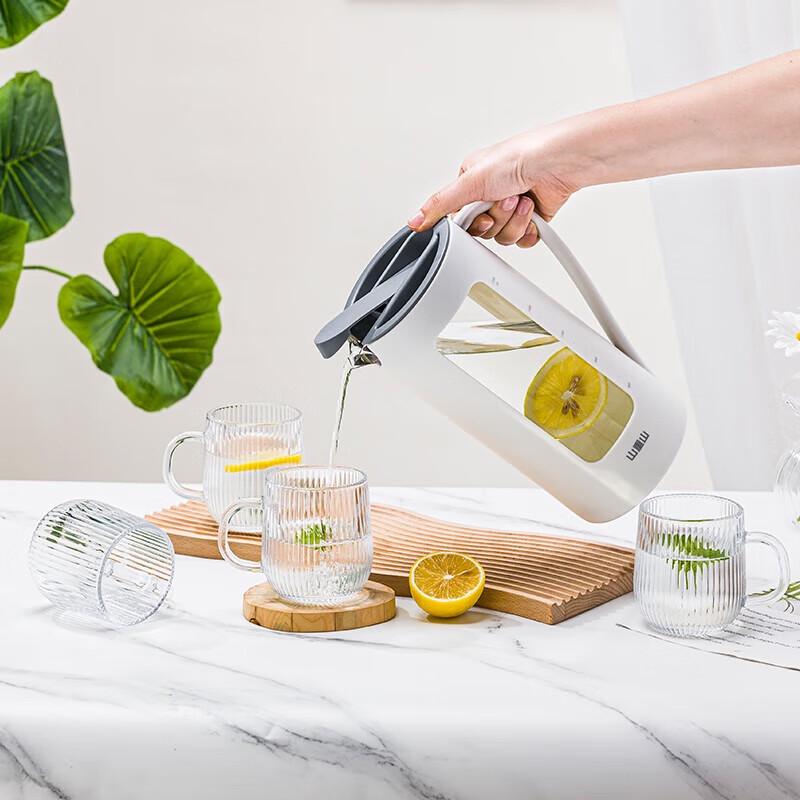 Heat-Resistant Glass Water Pitcher