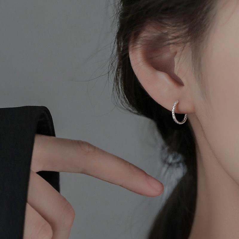 

Trendy 925 Silver Hoop Earrings for Women - Niche Design Summer 2022